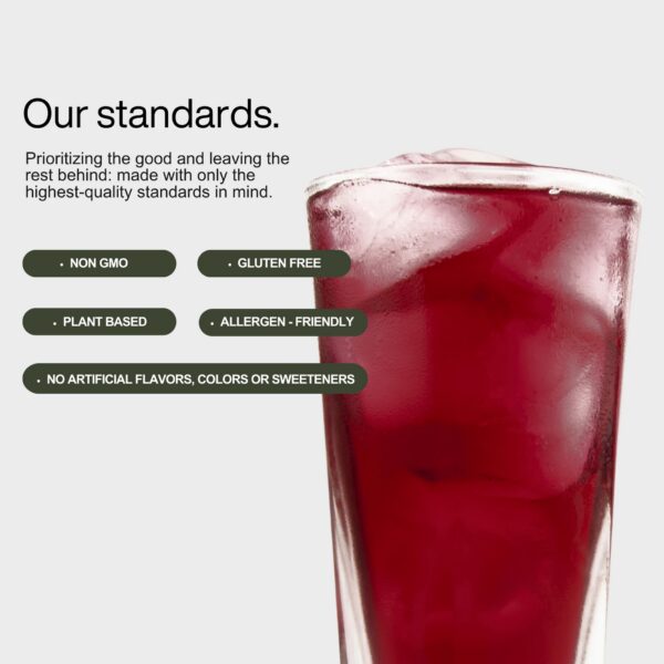 Version 1.0.0 B.Wild bebida saludable prebióticos probióticos ponche frutas