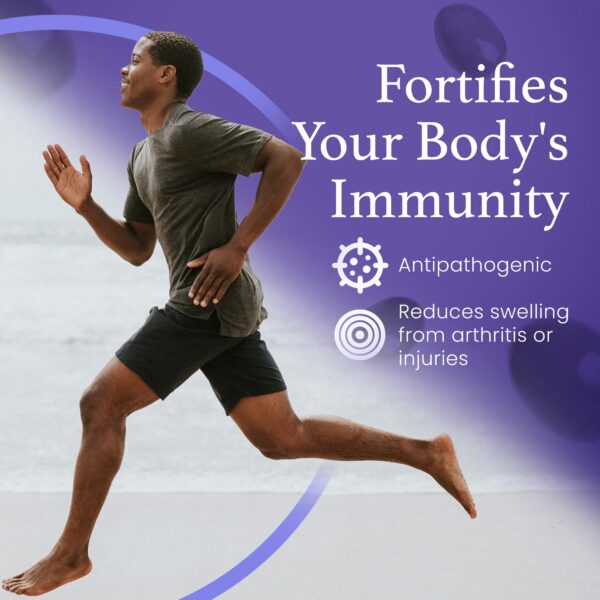 Etiqueta detallada de C60 Evo