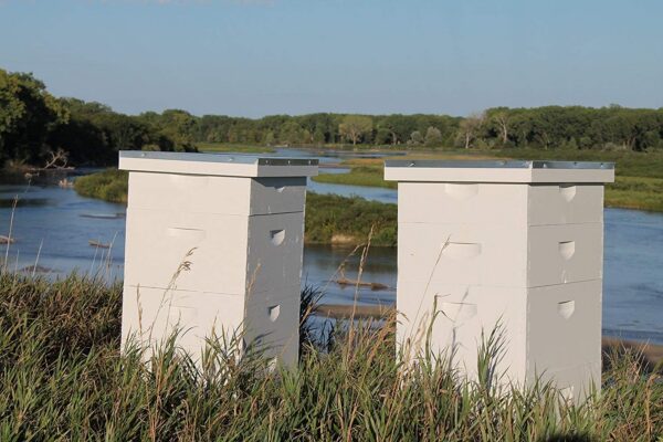 Etiqueta de Jalea Real Pura