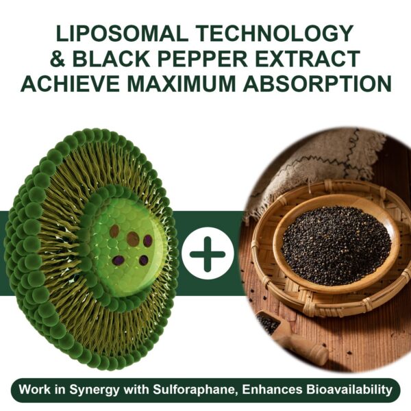 Version 1.0.0 Cápsulas liposomales en blister