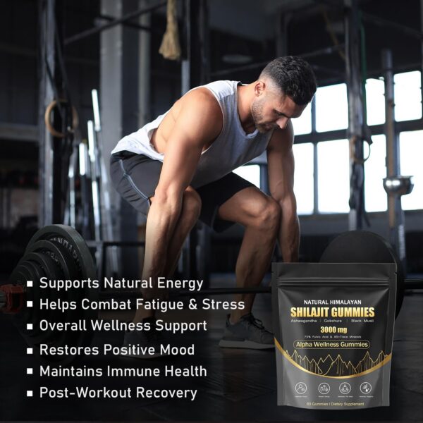 Etiqueta de ingredientes Shilajit Gummies