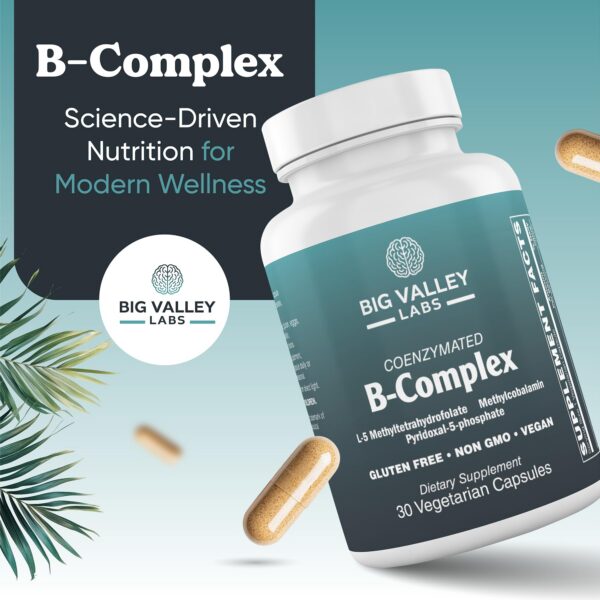 Formas activas de B12, 5-MTHF y P5P