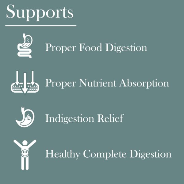 Version 1.0.0 Etiqueta trasera Baar Super Digestive Enzymes