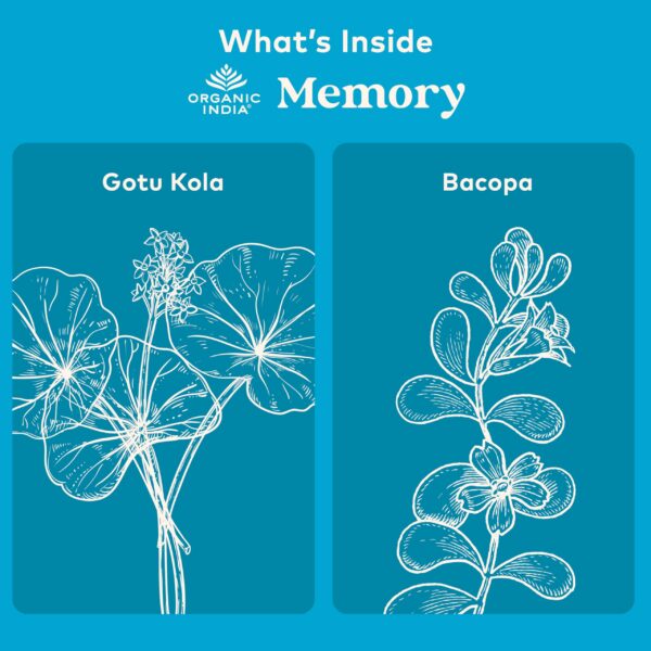 Bacopa Monnieri y Gotu Kola en suplemento natural para función cerebral