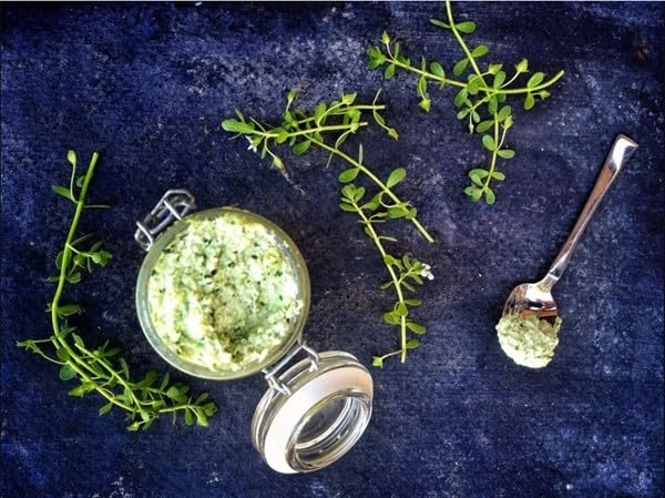 Version 1.0.0 Bacopa Monnieri en polvo hecho a mano