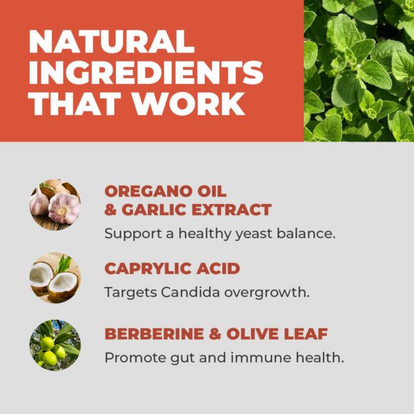 Cápsulas Balance ONE CandAssist para tratamiento natural de cándida