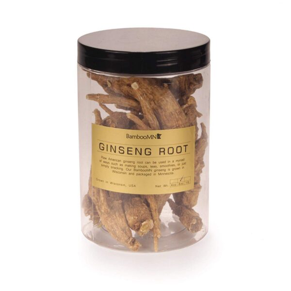 Raíz de ginseng mediana, cultivada en Estados Unidos