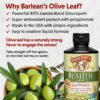 Barlean's hoja de olivo extracto líquido antioxidante y salud