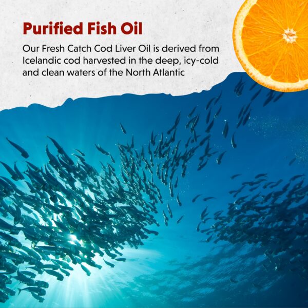 Frasco de Barlean's Omega-3 líquido