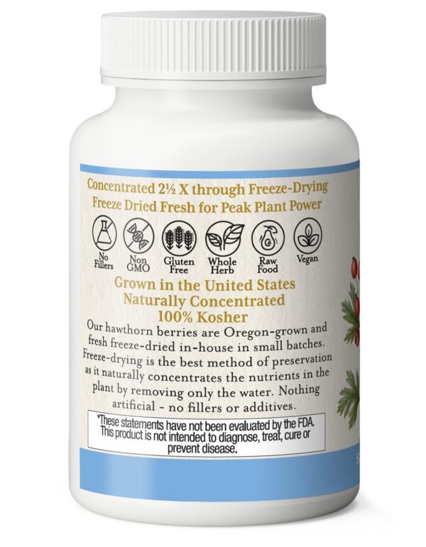 Bayas de espino certificadas no transgénicas en cápsulas