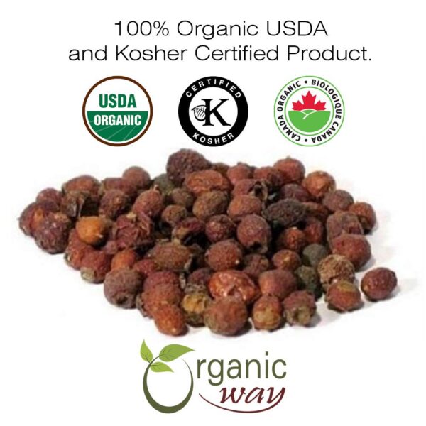 Primer plano de bayas de espino albar secas