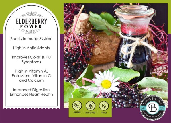 Bayas de sauco enteras croacia origen