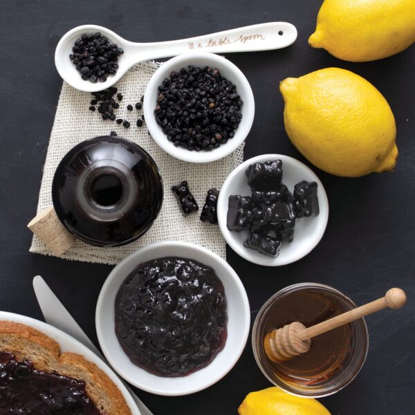 Version 1.0.0 Bayas de saúco europeas secas orgánicas Frontier Co-op