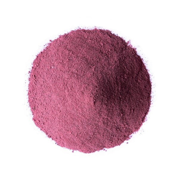 Bayas secas de saúco negro para polvo orgánico Food to Live