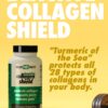 Version 1.0.0 Etiqueta BeActive Collagen Shield