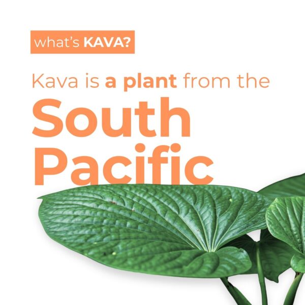 Bebida LEILO mandarina mango natural sin alcohol