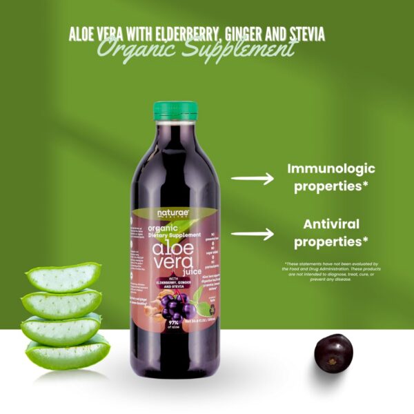 Frasco de bebida orgánica de aloe vera con jengibre y elderberry