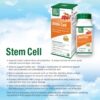 Frente de la etiqueta Bell Stem Cell Supplements
