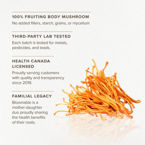 Beneficios de las Cápsulas de Cordyceps