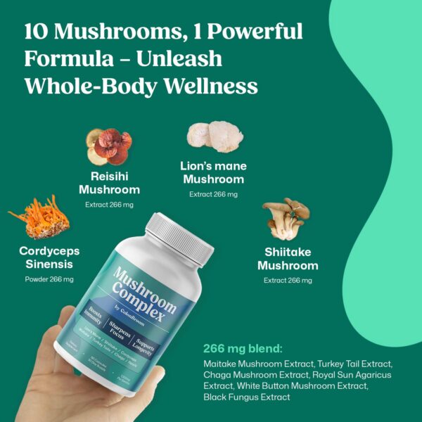 Ingredientes ColonBroom Complejo de Hongos