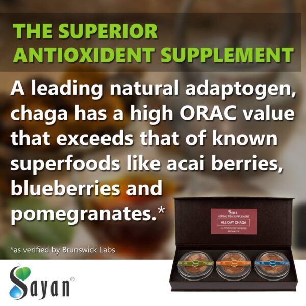 Beneficios del té de Chaga Sayan