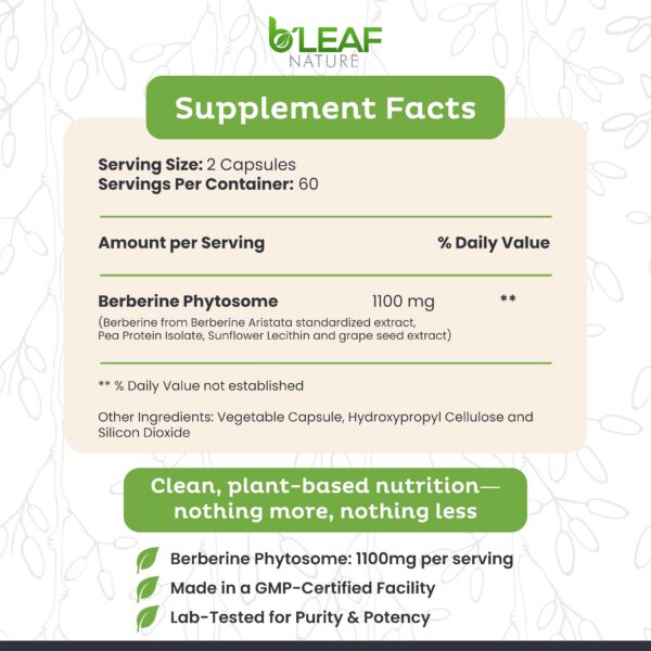 Caja Berberina phytosome 1100 mg