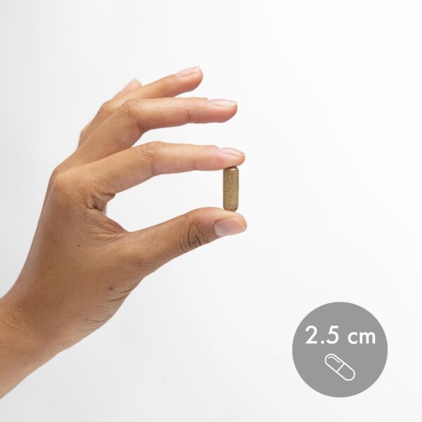 Detalle Berberina y Chromium