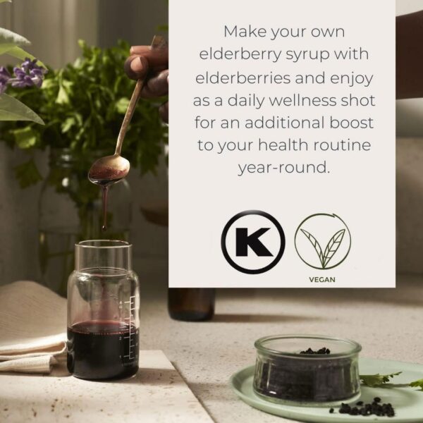 Berries enteros de saúco Starwest para suplementos naturales