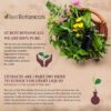 Etiqueta del producto Best Botanicals valeriana root cut