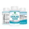Version 1.0.0 Etiqueta catalase 15000