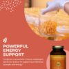 Beta-glucanos en Cordyceps HealthForce