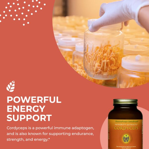 Beta-glucanos en Cordyceps HealthForce