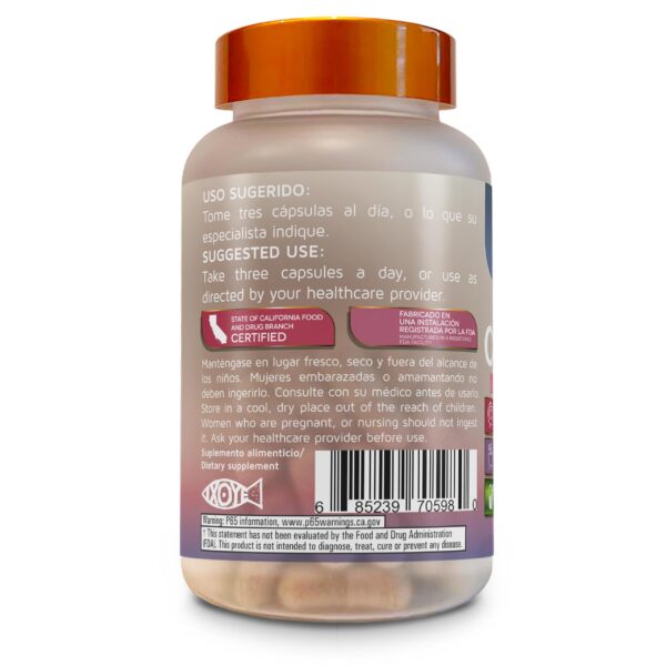 Version 1.0.0 Betel Natural cápsulas cerebro b+ vista cercana