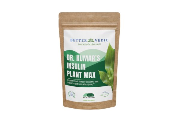 Better Vedic polvo puro hoja de Costus suplemento herbal