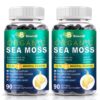 Paquete BEWORD Musgo Marino Orgánico 180 cápsulas x2