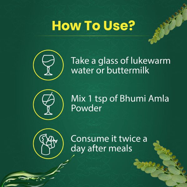Etiqueta de Bhumi Amla polvo orgánico Vedikroots