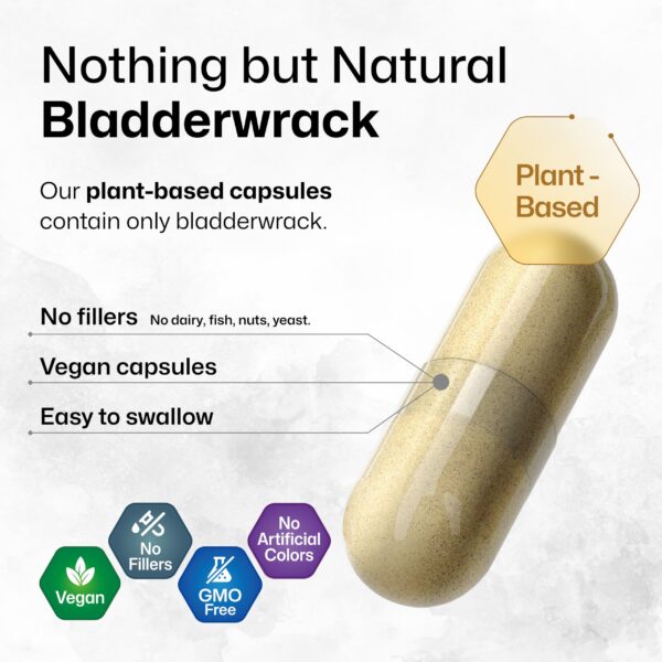 Version 1.0.0 Bladderwrack en cápsulas de alga marina