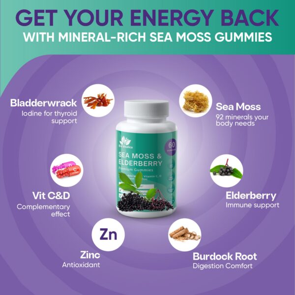 BIO VITALICA Gominolas Musgo Marino ingredientes