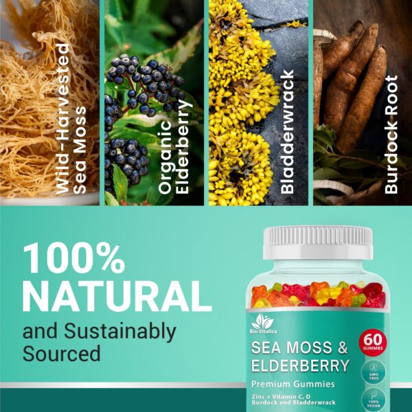 Etiqueta de Bio Vitalica Sea Moss Elderberry