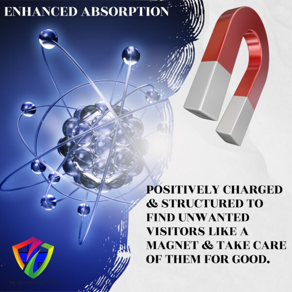 Frente y parte superior de etiqueta