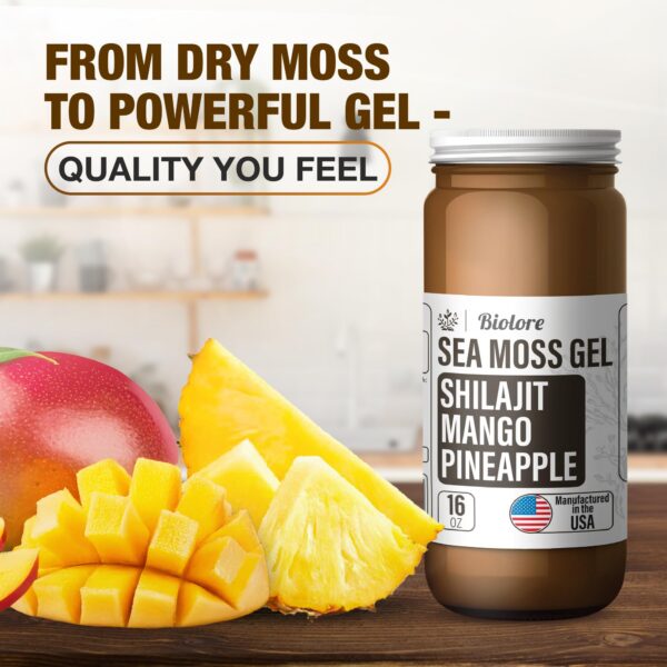 Frasco vidrio 16 oz de gel musgo marino Biolore