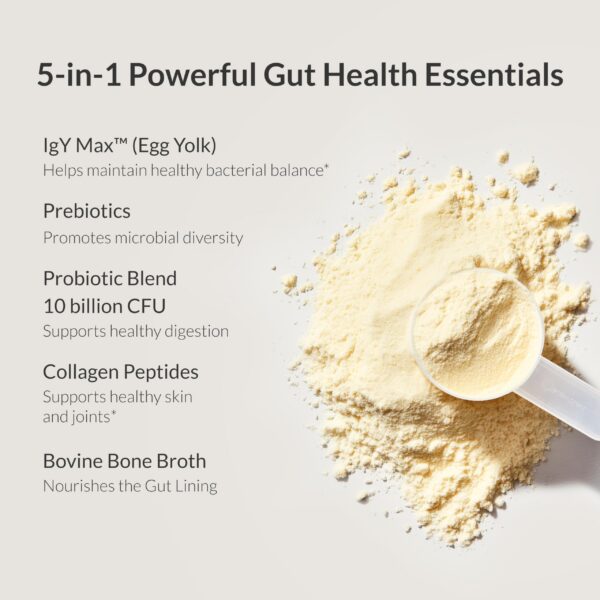 Sabor vainilla del polvo probiótico