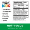 Version 1.0.0 Etiqueta frontal BIORAY Kids NDF Focus apoyando enfoque para niños