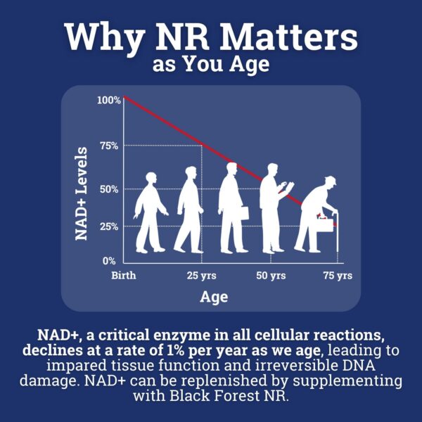 Vista del empaque y código de lote
