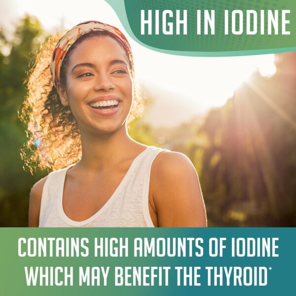 Version 1.0.0 Bladderwrack polvo mezclable en líquidos