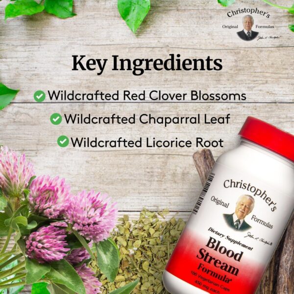 Blood Stream Formula envase frasco