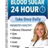 Frasco de suplemento Blood Sugar 24 Horas