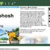 Version 1.0.0 Blue-cohosh-envase-frontal-100-capsulas