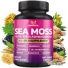 BMVINVOL cápsulas Sea Moss envase frontal 100 unidades