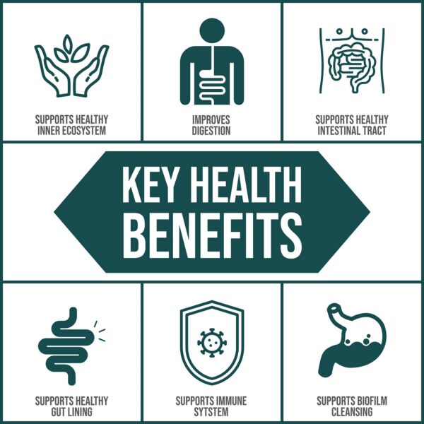 Caja externa EcoOxyZyme